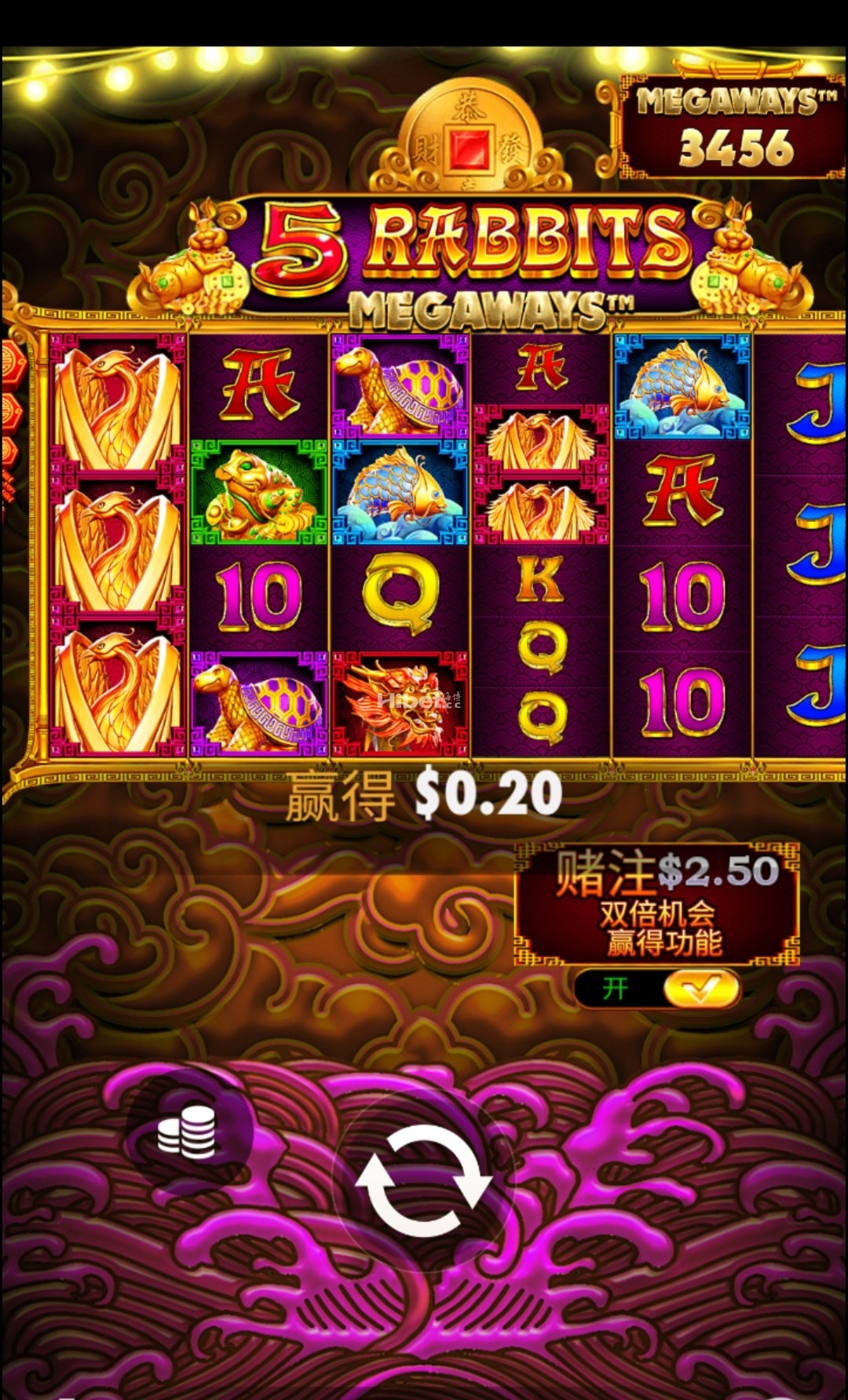 5金免不给力亏了