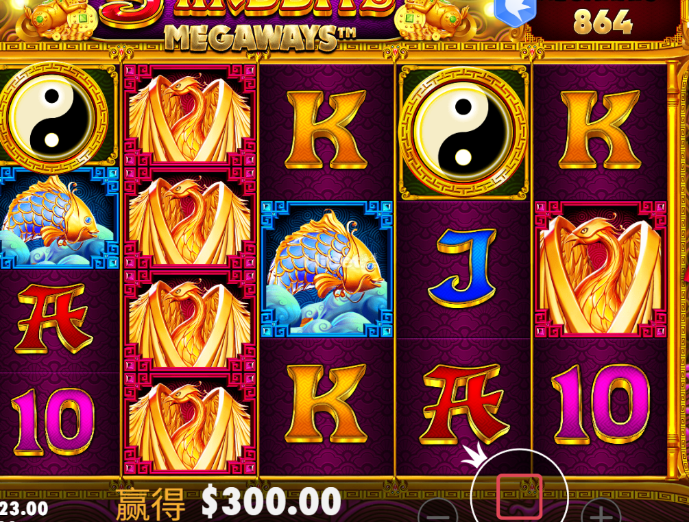 金狮状态还是很好