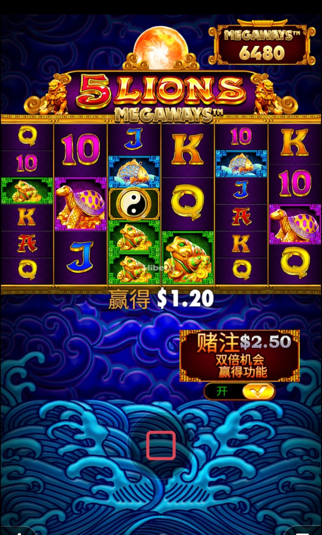 5金狮没有运气了