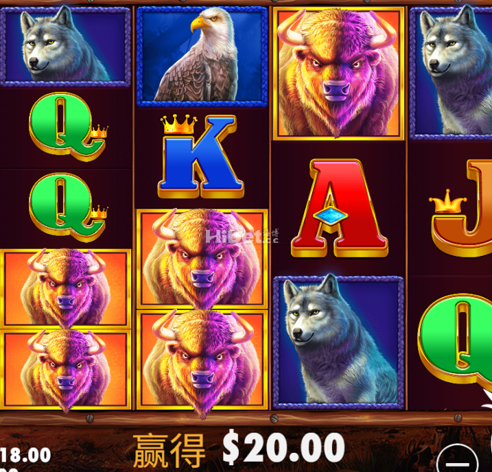 金狮真的是没大奖